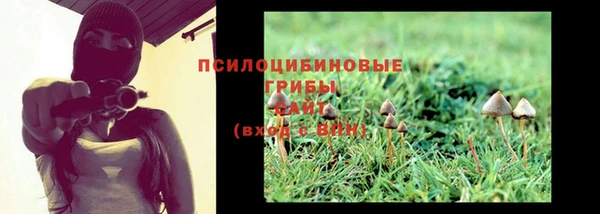 спайс Абаза