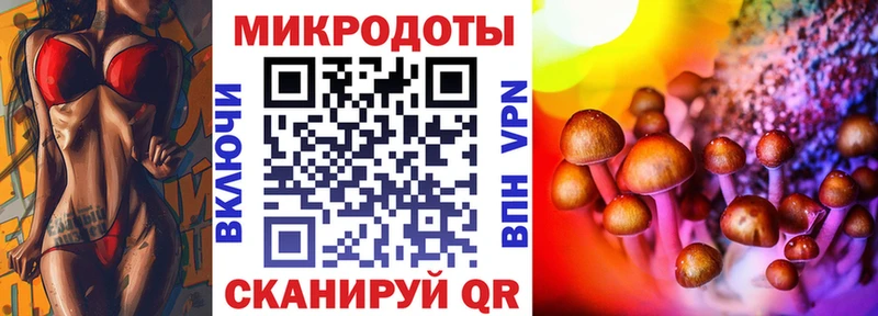 ссылка на мегу онион  Киселёвск  Галлюциногенные грибы GOLDEN TEACHER 